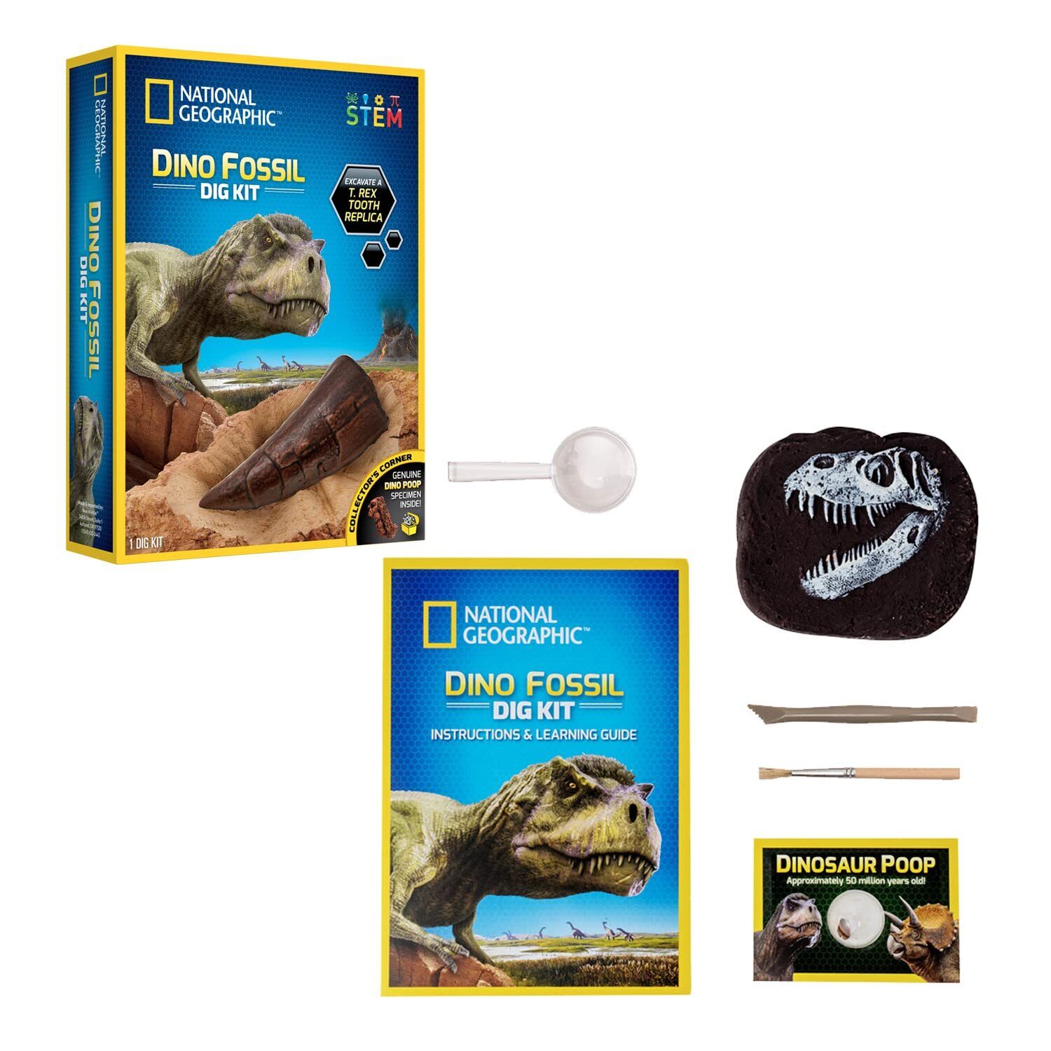 Bandai – National Geographic – Ausgrabungsset – 3 Dinosaurier-Fossilien zum Ausg
