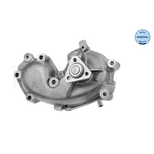 Pompa Dell’acqua Raffreddamento Motore Meyle 2137781232 per Fiat
