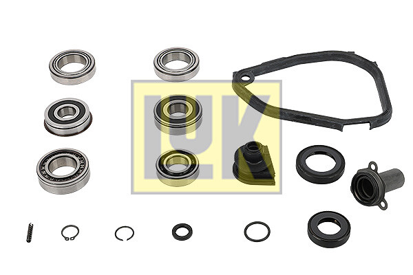 LuK 462 0151 10 Kit Riparazione, Manuale Trasmissione per Citroën, Fiat, Peugeot