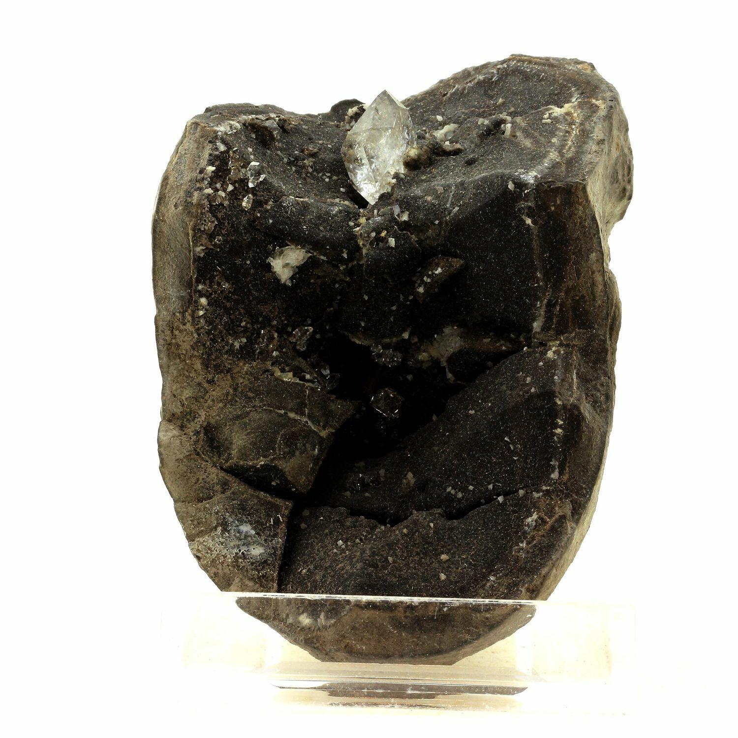 Septaria. 1440.0 Ct. Col Del Fau, Isère, Francia