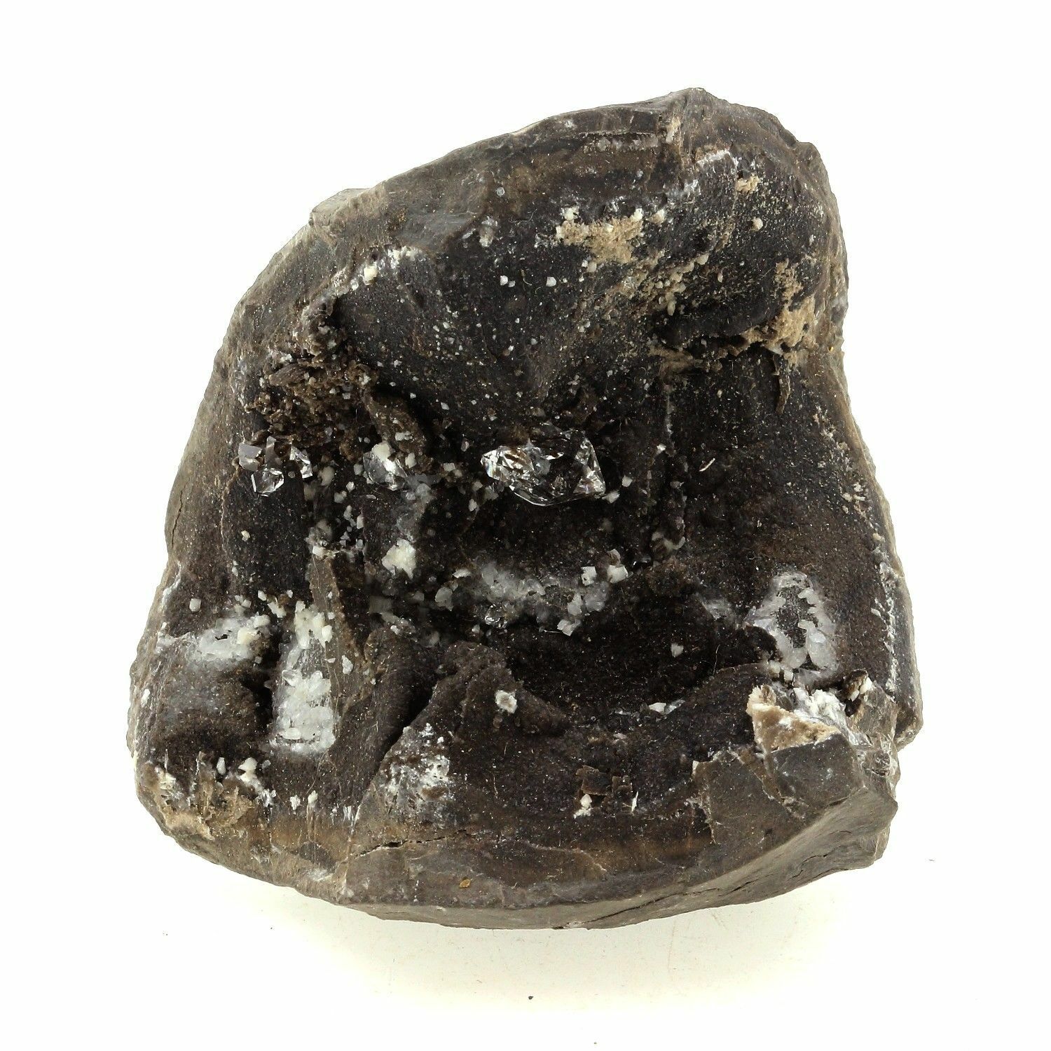 Septaria. 637.0 Ct. Col Del Fau, Monestier-De-Clermont, Isère, Francia