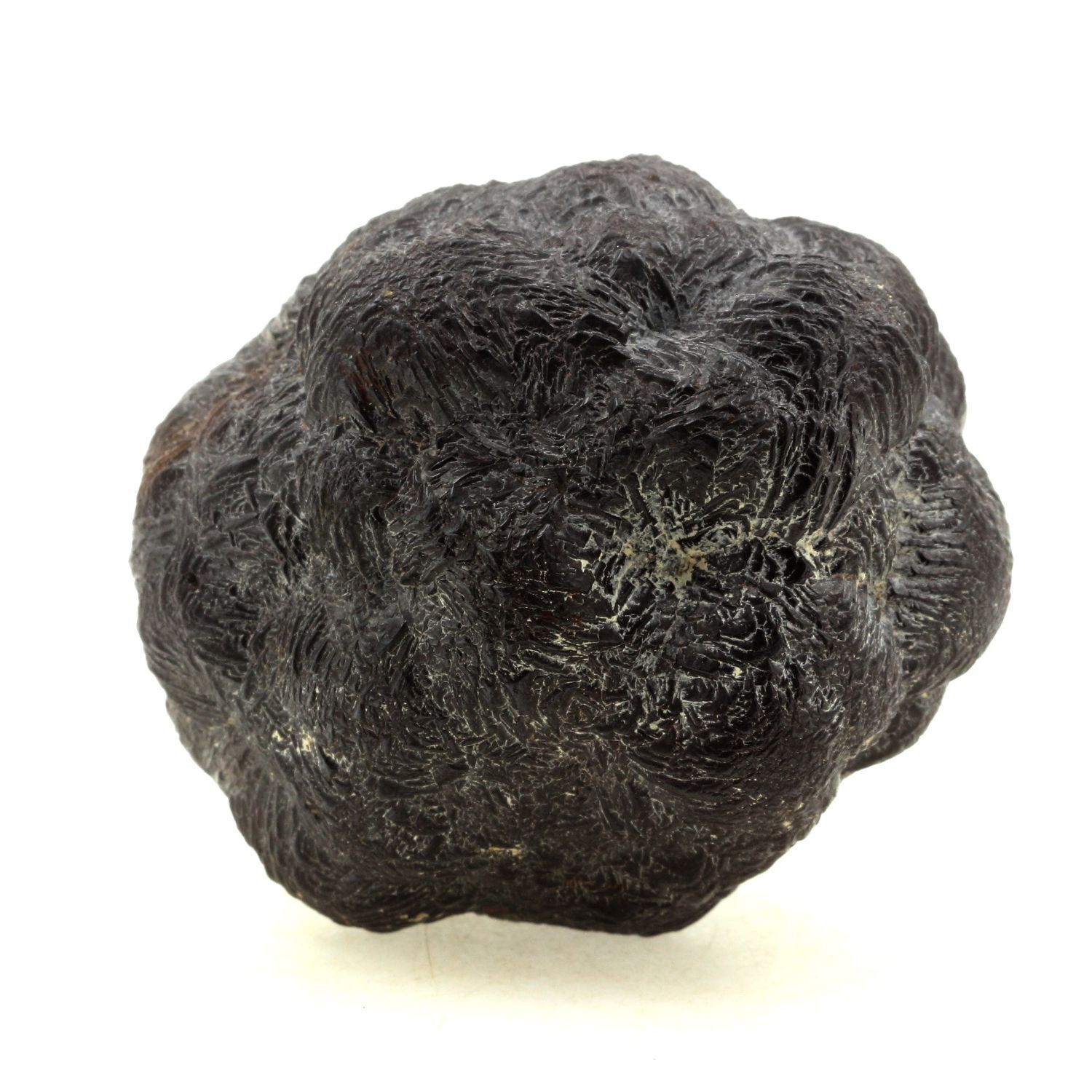 Marcasite (Nodulo) . 4330.0 Ct. Epernay, Marne, Grand È, Francia