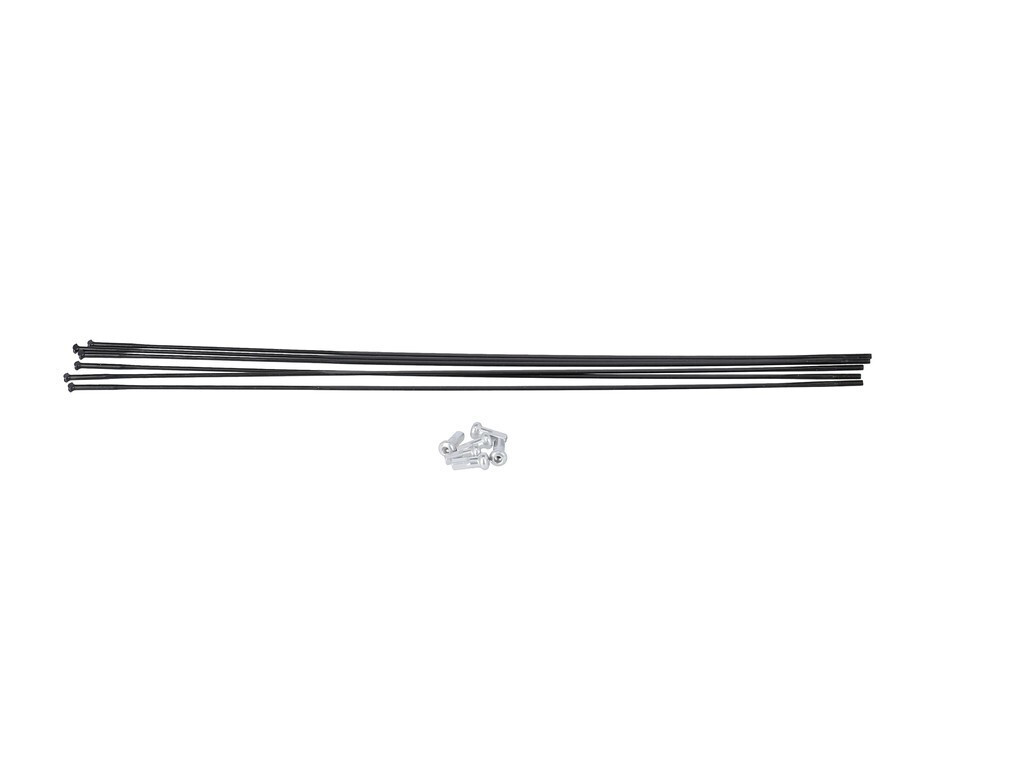 DT Swiss Kit raggi per ARC 1100 Dicut 62 Straight Pull