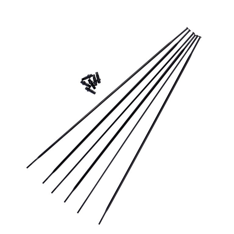 Kit raggi DT Swiss HG 1800 Spline 25DB VR + HR, 700C Straight Pull