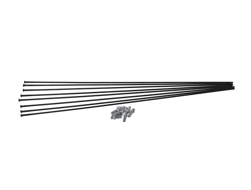 Kit raggi DT Swiss H 1900 Spline 27,5 R.ant. + R.post. Straight Pull