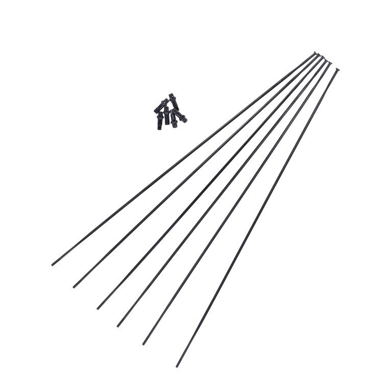 DT Swiss Kit raggi per XMC 1200 Spline 29/30 Straight Pull
