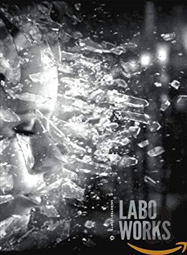 Selected shorts 12 - Labo works (DVD) Georges Schwizgebel Torbjorn Skarild