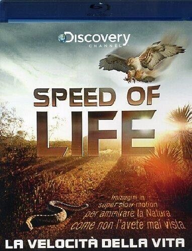 Speed Of Life - La Velocita' Della Vita -