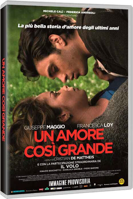 Amore Cosi' Grande (Un) (Dvd)