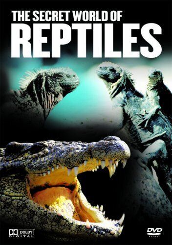 The Secret World of Reptiles (DVD)