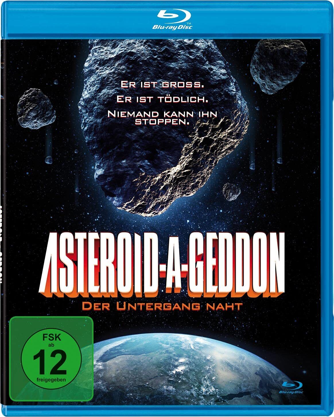Asteroid-A-Geddon - Der Untergang naht (Blu-ray) Roberts Eric Wiggins Gellis