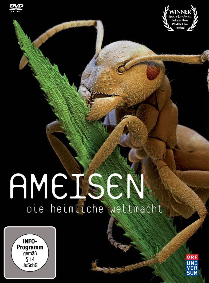 Ameisen - Die heimliche Weltmacht (DVD)