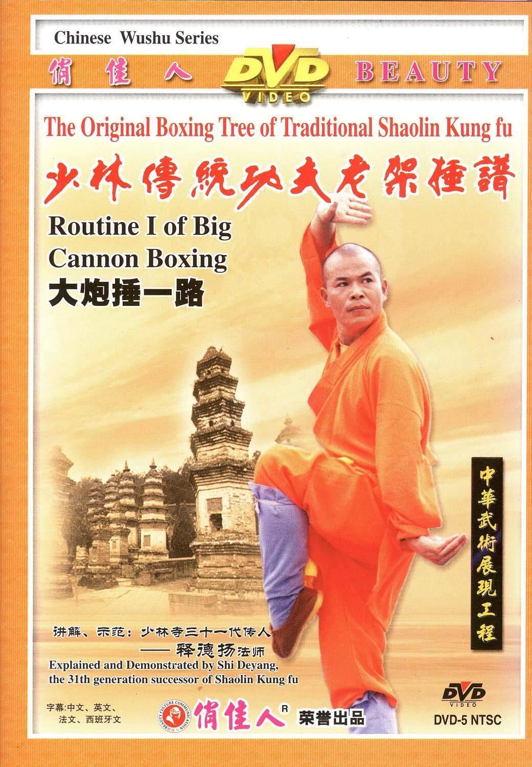 Big Cannon Boxing - Routine 1 (DVD)