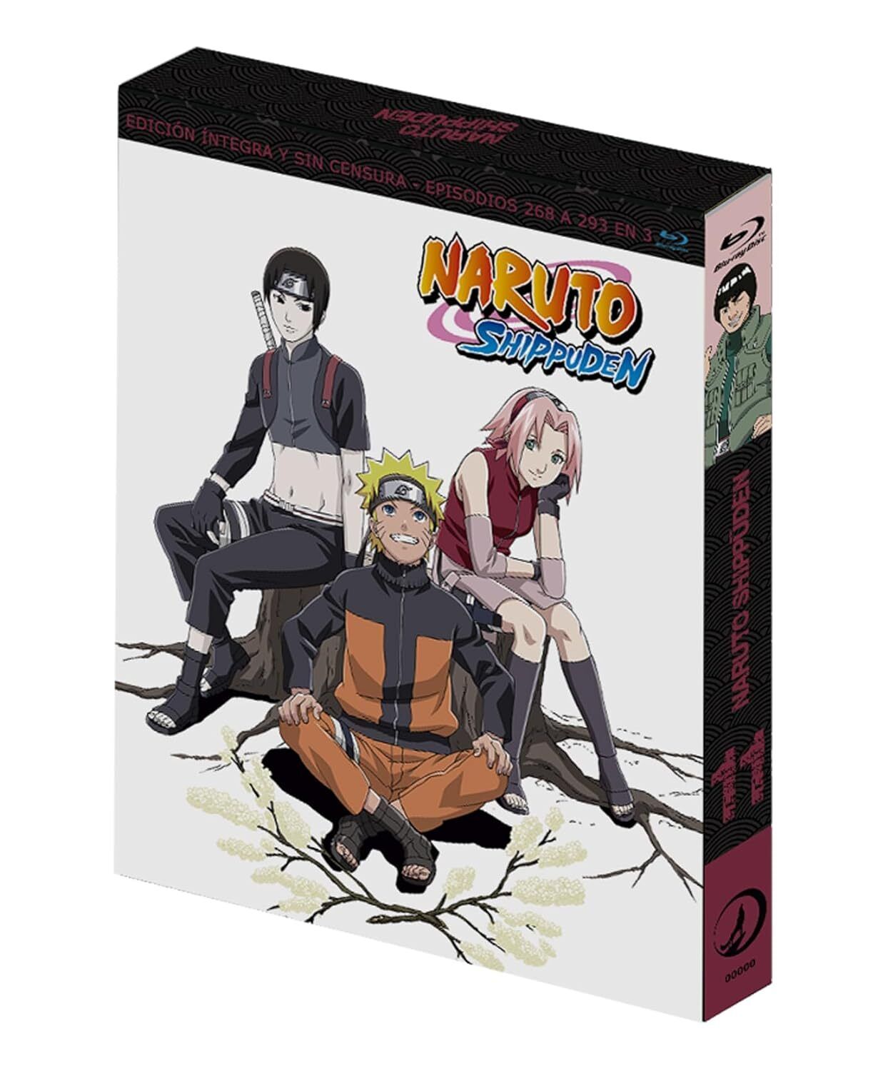 Naruto Shippuden Box 11 BluRay (SP) (202241)