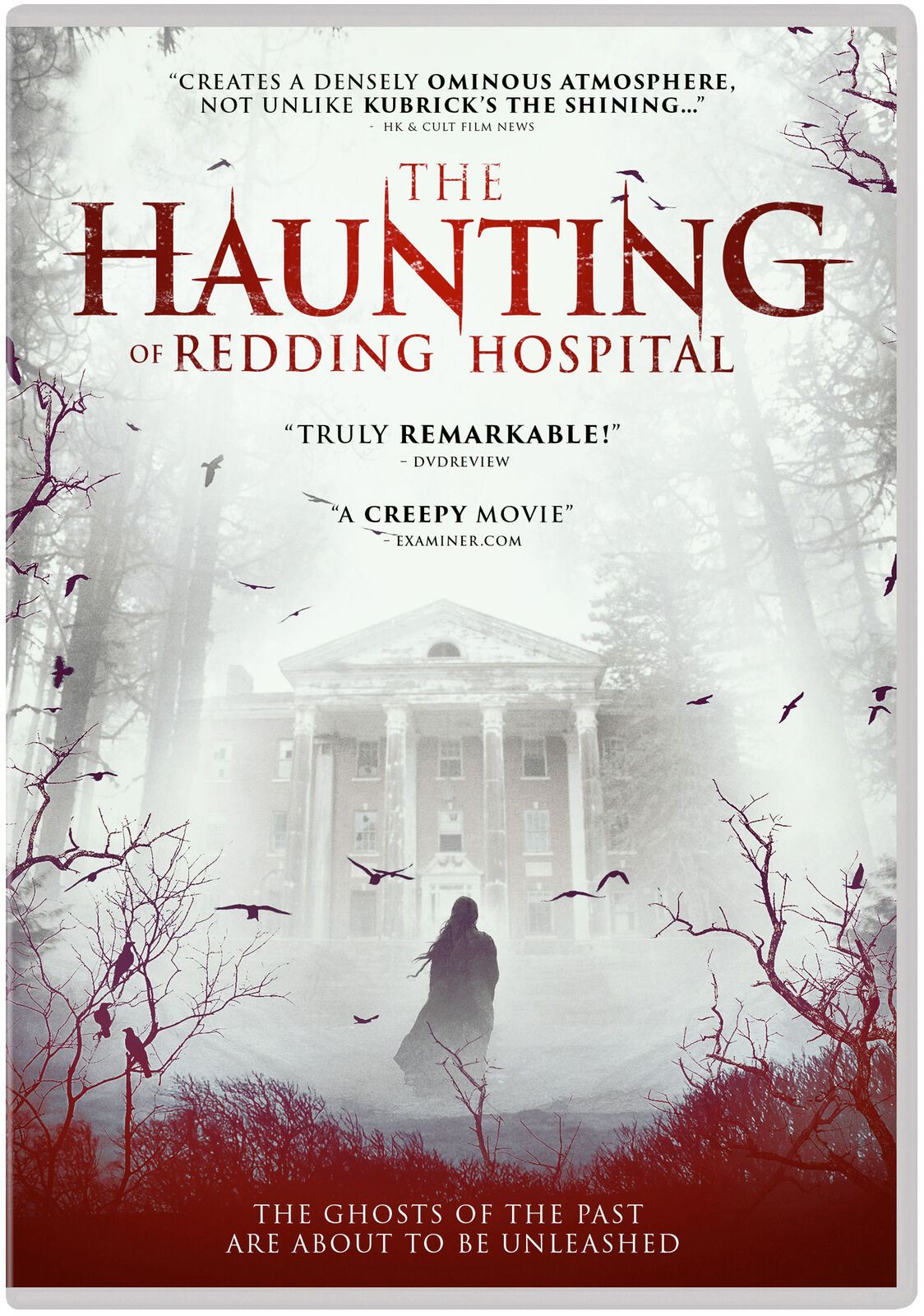 The Haunting of Redding Hospital (DVD) John Lee Ames Holland Roden Inbar Lavi