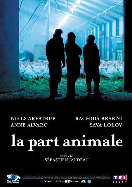 La Ccl Animale - DVD Nuova