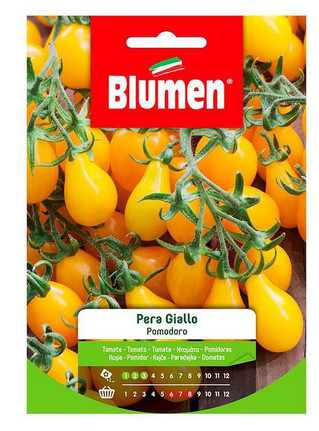 BLUMEN SEMI DI POMODORO YELLOW PEAR pera giallo