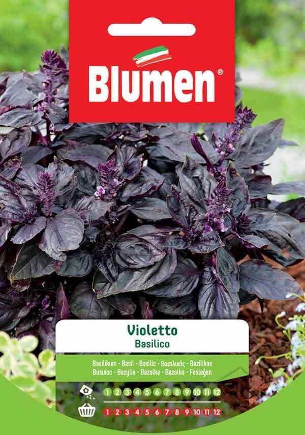 Blumen. Semi di Basilico Violetto