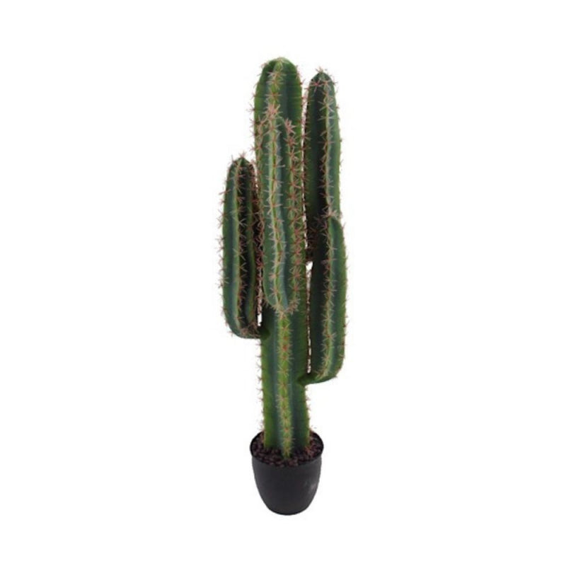 Pianta ornamentale di cactus 108 cm con vaso