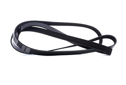 Meyle 050 006 2390 Cinghia Poly-V
