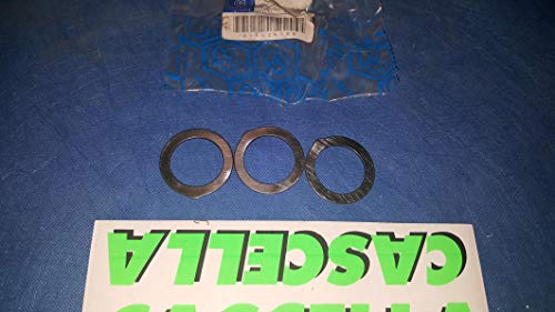 Rondella Planetario Differenziale Ape 50-P50-Fl50-Fl2 50-250 116241