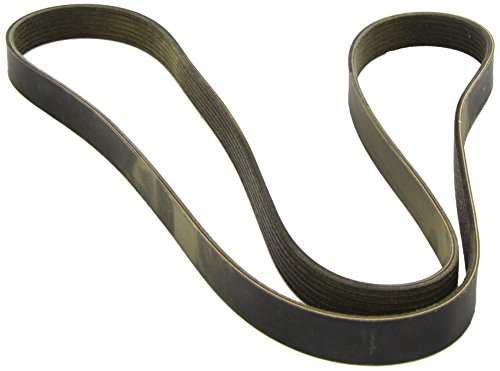 Ashika 112-7Pk1750 - Cinghia Poly-V