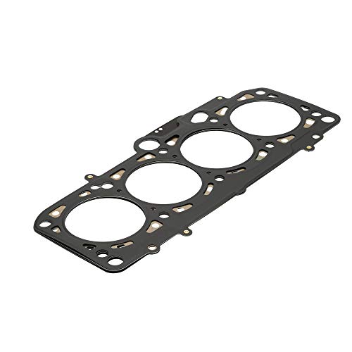 Reinz 61-33495-00 Guarnizione, Testata