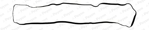 Payen Jm7035 Guarnizione Copritestata