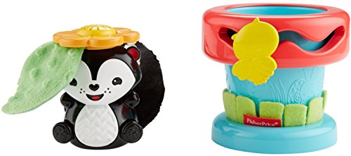 Fisher-Price Infant Dfp91 - Giocattolo Fiorellino Baby Sorpresa