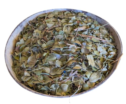 100 G / 0,22 Lbs Genuine Marocchino Sidr Foglie Di Giuggiola Albero Essiccato Materia Prima