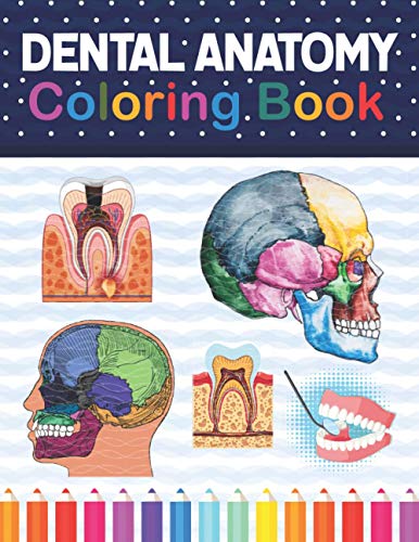 Dental Anatomy Coloring Book: Fun And Easy Adult Coloring Book For Dental Assistants, Dental Students, Dental Hygienists, Dental Therapists, ... Denti