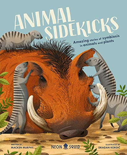 Animal Sidekicks: Amazing Stories Of Symbiosis In Animals And Plants