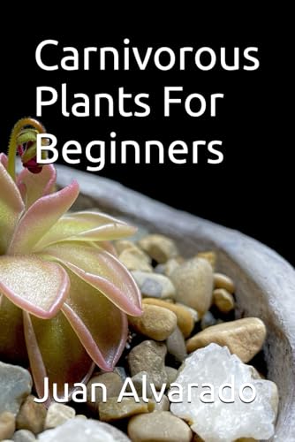 Carnivorous Plants For Beginners