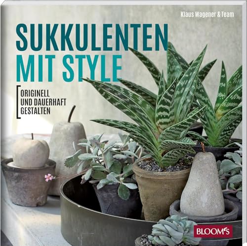 Sukkulenten Mit Style: Originell Und Dauerhaft Gestalten