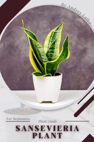 Sansevieria Plant: Plant Guide