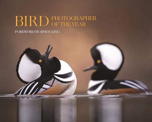 Bird Photographer Of The Year: Collection 9