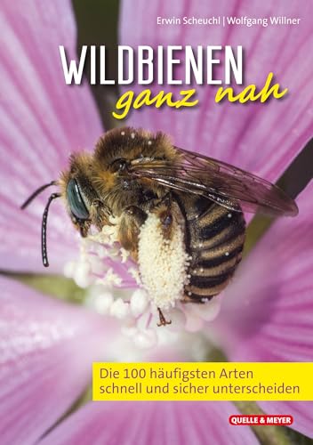 Wildbienen Ganz Nah: Die 100 Häufigsten Arten Schnell Und Sicher Unterscheiden