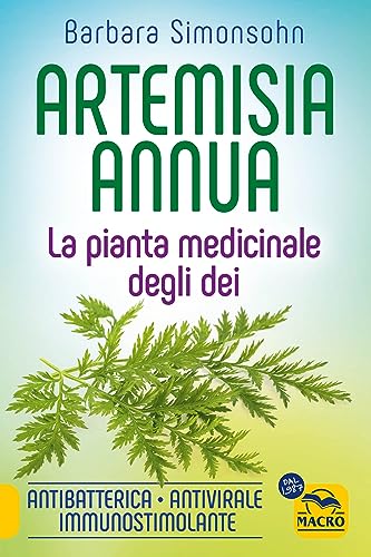 Artemisia Annua