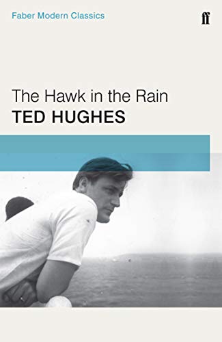 The Hawk In The Rain