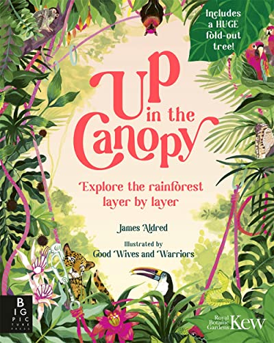 Up In The Canopy: Explore The Rainforest, Layer By Layer