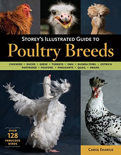 Storey'S Illustrated Guide To Poultry Breeds: Chickens, Ducks, Geese, Turkeys, Emus, Guinea Fowl, Ostriches, Partridges, Peafowl, Pheasants, Quails, S