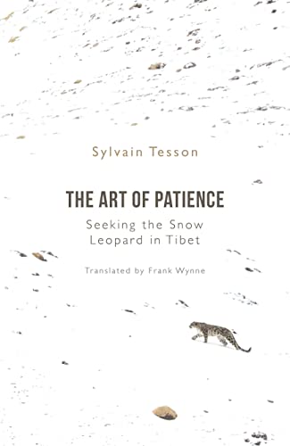 The Art Of Patience: Seeking The Snow Leopard In Tibet