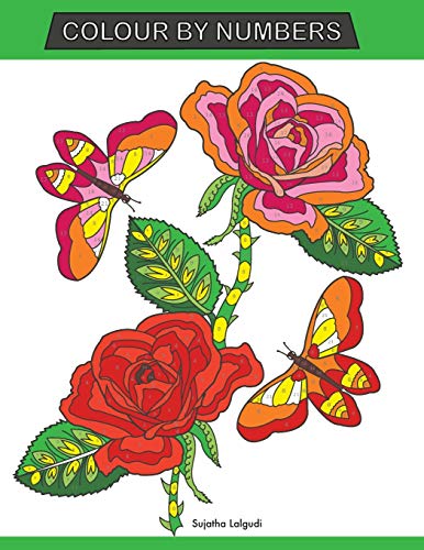 Colour By Numbers: Large Print Colour By Number Butterflies, Birds, And Flowers Adult Colouring Book