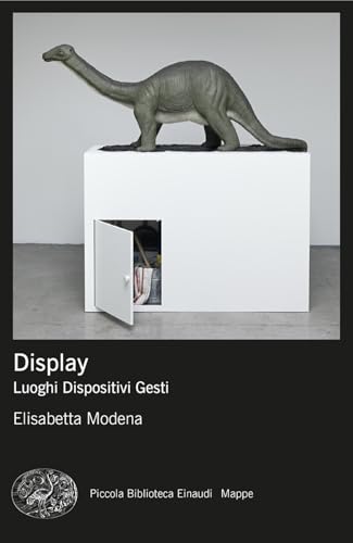 Display. Luoghi, Dispositivi, Gesti