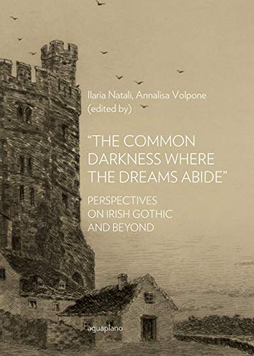 «The Common Darkness Where The Dreams Abide». Perspectives On Irish Gothic And Beyond
