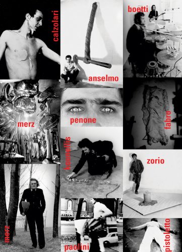 Arte Povera. Ediz. Multilingue. Dvd