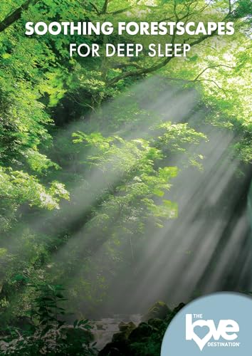 The Love Destination Courses: Soothing Forestscapes For Deep Sleep