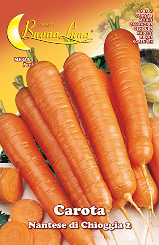 Semi Orto Carota Di Chioggia Pz - 10