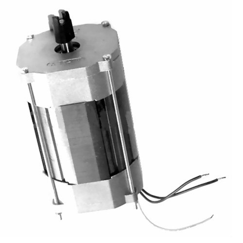Came 119Rid109 - Gruppo Motore Per A3000 A3100 A5000 A5100 Ati Ricambio