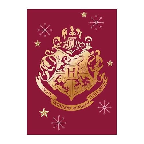 Plaid In Pile Harry Potter 100 X 140 Cm (Plaid Pile Harry Potter)